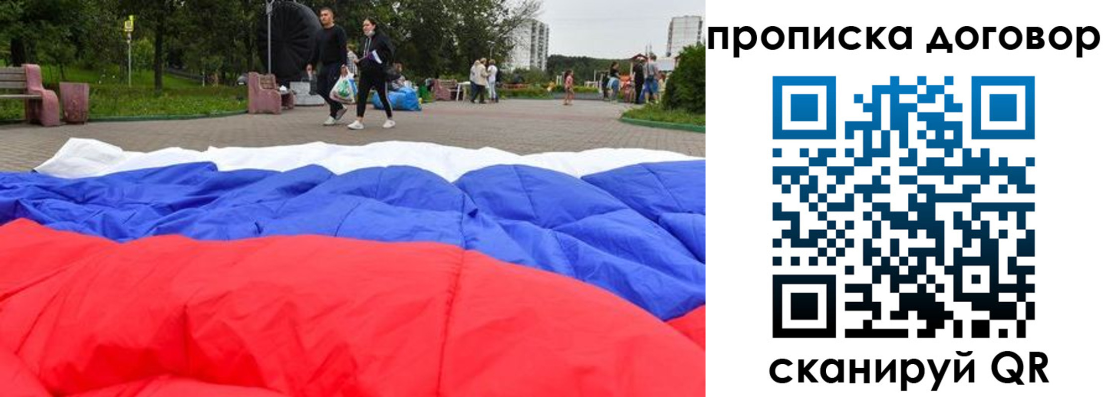 прописка поиск в Камышине